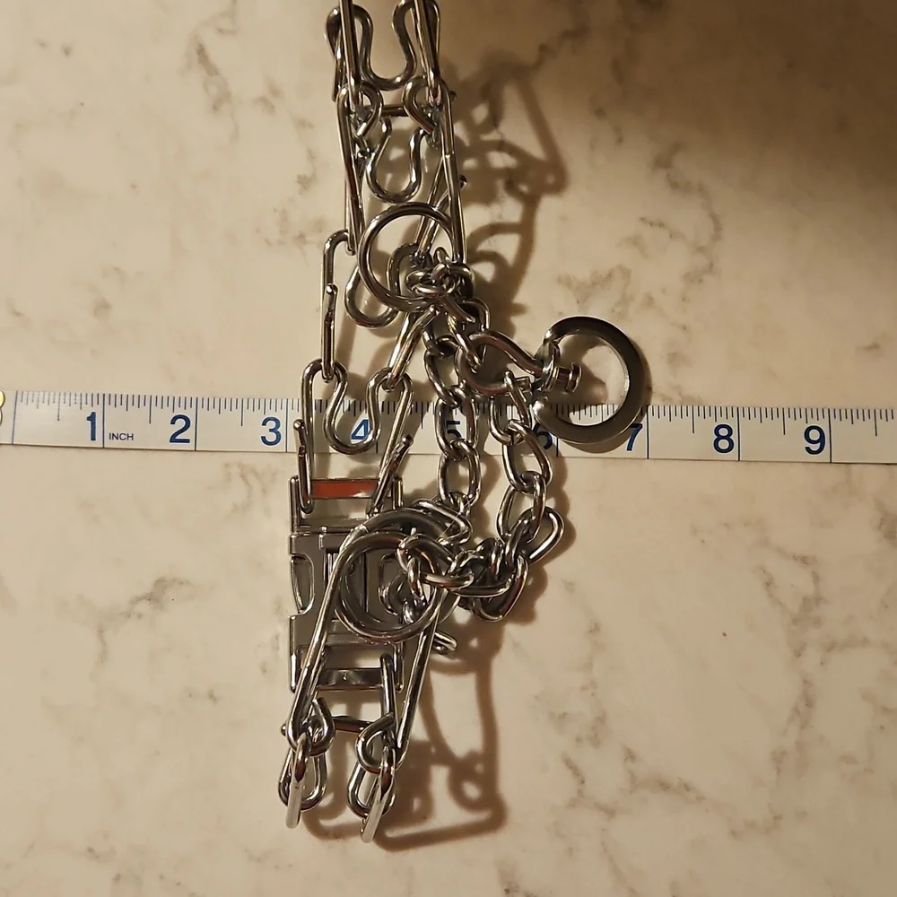 Dog Prong Collar
